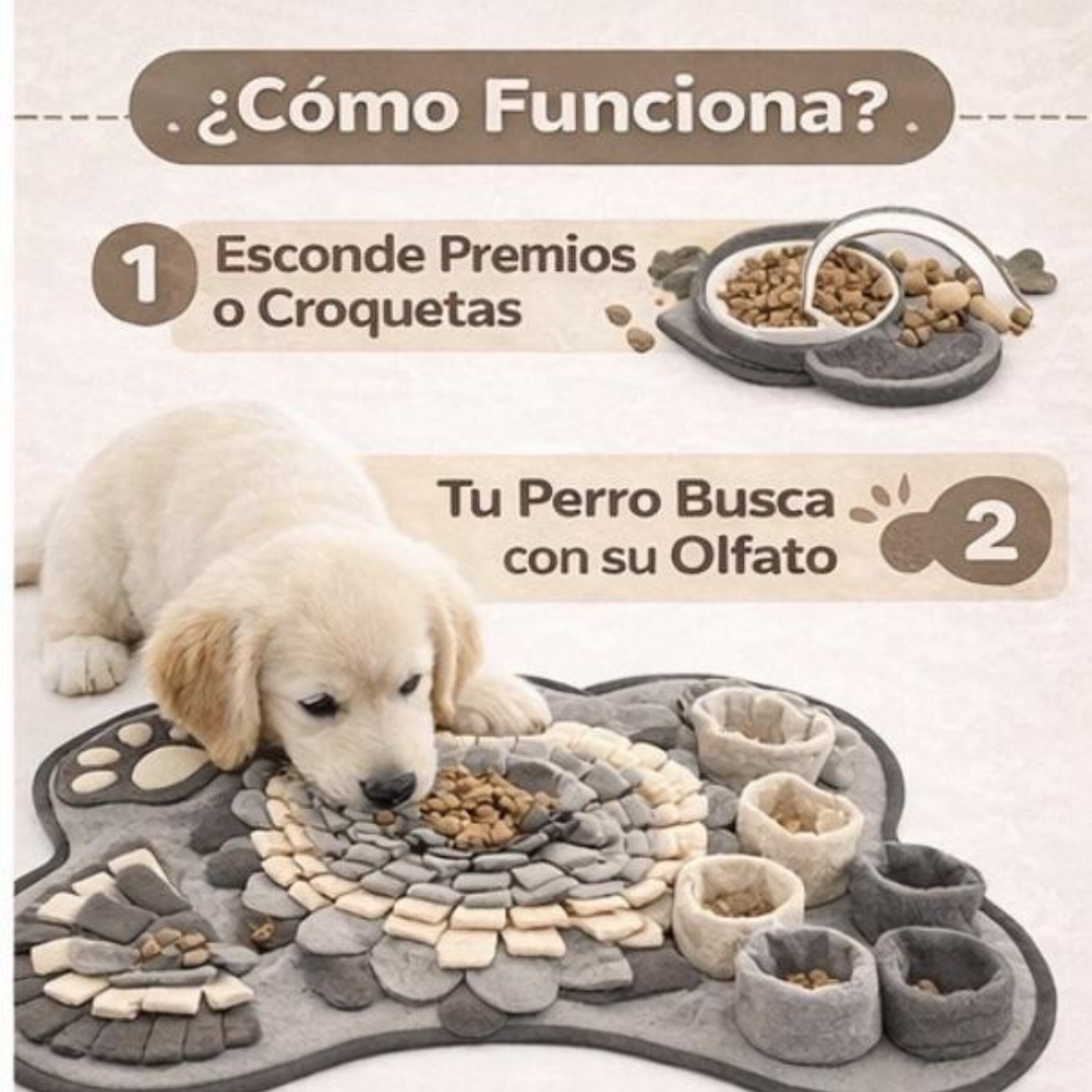 Alfombra Olfativa – Estimula su mente