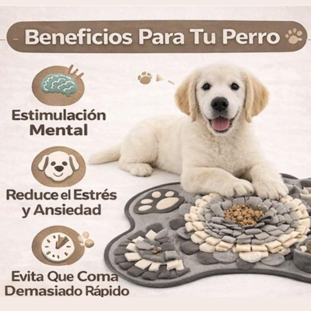 Alfombra Olfativa – Estimula su mente