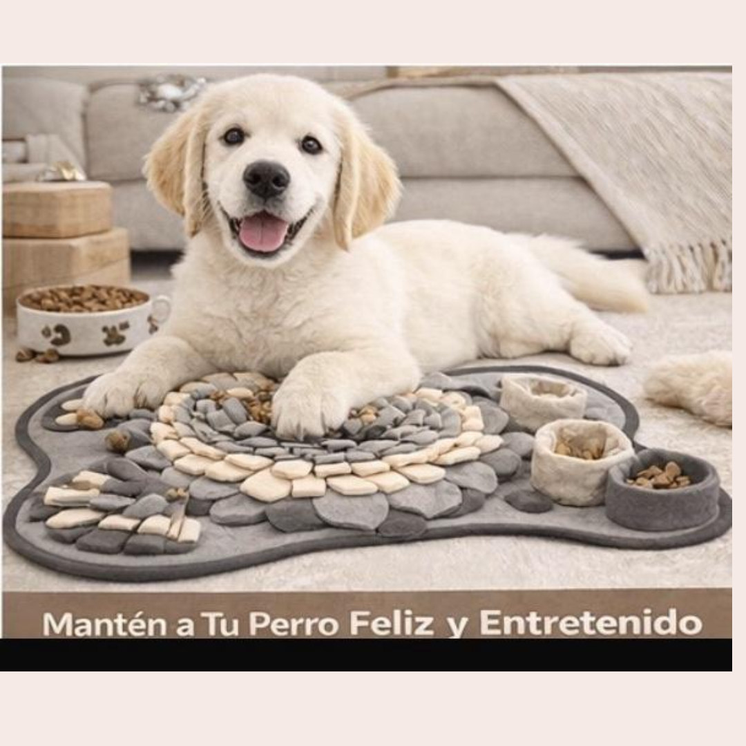 Alfombra Olfativa – Estimula su mente