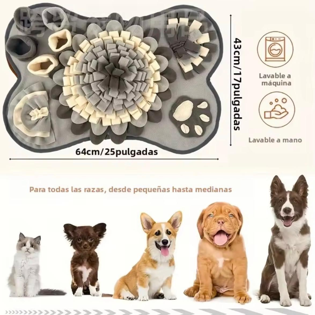 Alfombra Olfativa – Estimula su mente